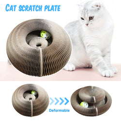 Votoin™ Cat Scratcher