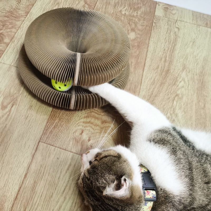 Votoin™ Cat Scratcher